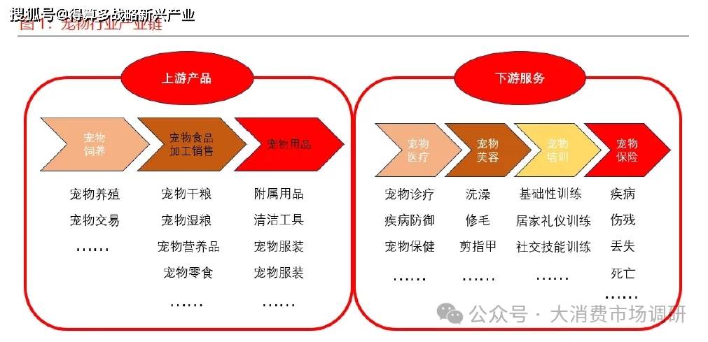 状与驱动因素分析（15页报告）AG真人中国宠物食品市场发展现