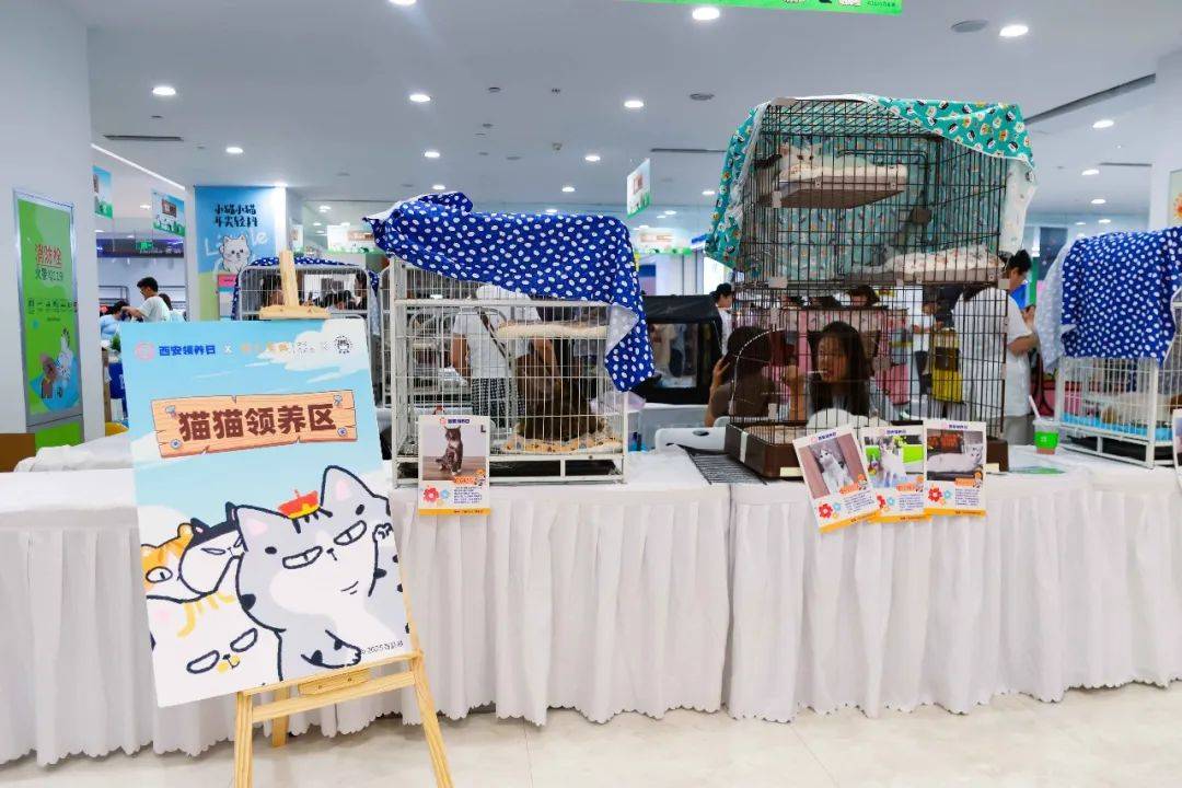 第57届西安领养日线下活动ag真人平台第一游戏活动回顾(图8)
