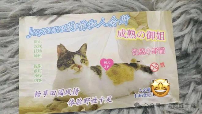 费品从业者的五年创业思考AG真人深度 一个新消(图2)