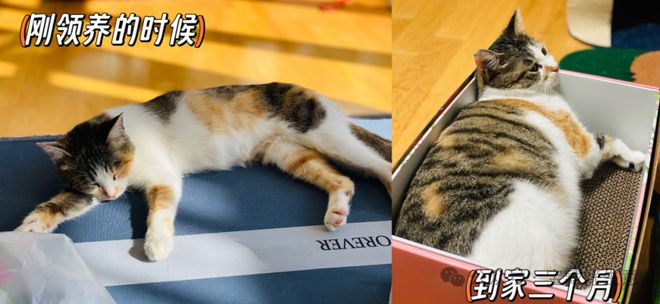 费品从业者的五年创业思考AG真人深度 一个新消(图6)