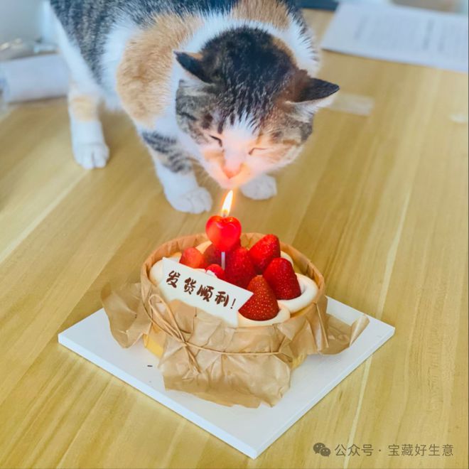 费品从业者的五年创业思考AG真人深度 一个新消(图9)