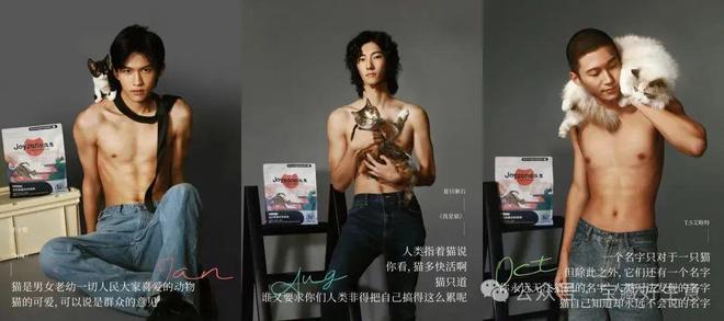 费品从业者的五年创业思考AG真人深度 一个新消(图11)