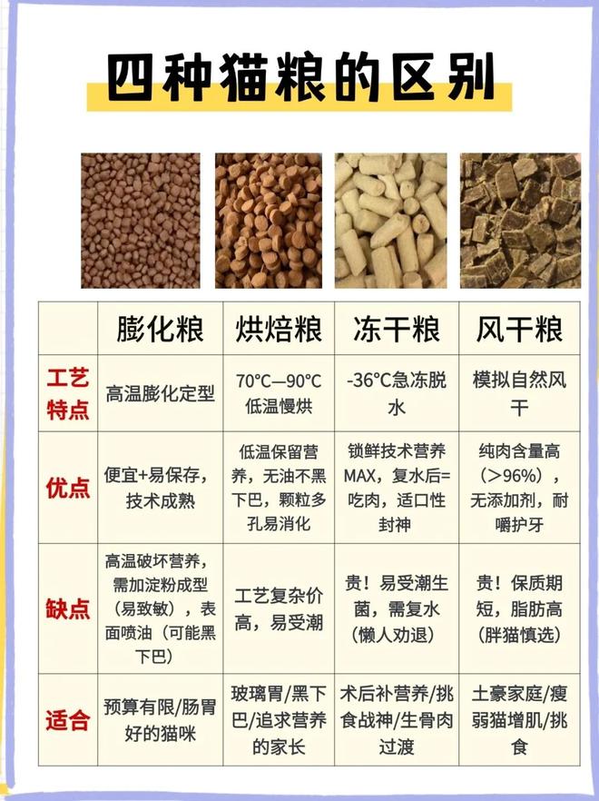 吃上了鲜食 Flywheel飞未AG真人还在吃预制菜的人让宠物(图12) 吃上了鲜食 Flywheel飞未AG真人还在吃预制菜的人让宠物(图12)