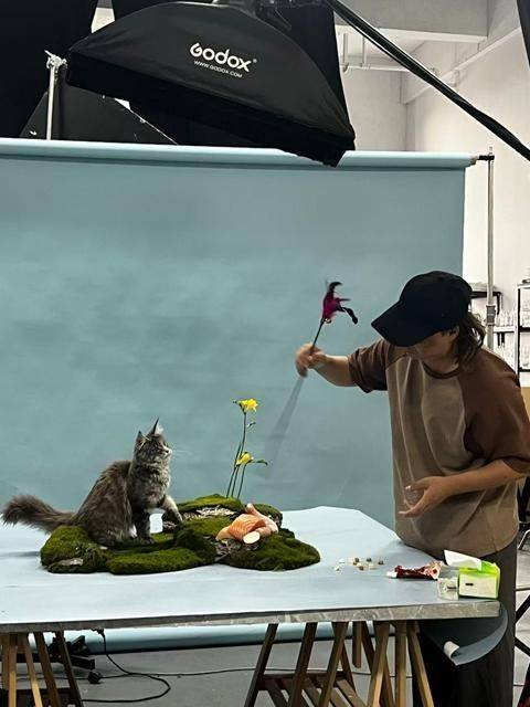 物“逐梦演艺圈”AG真人他们带动(图2)