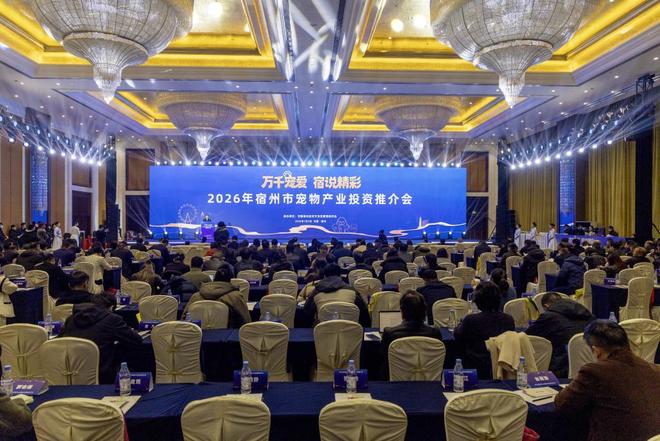 资推介会目标打造长三角宠物经济发展新高地AG真人百家家乐ap