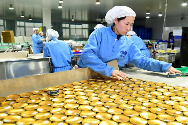 经济观潮丨全国每十袋宠物粮就有三袋产自山东(图2) 经济观潮丨全国每十袋宠物粮就有三袋产自山东(图2)